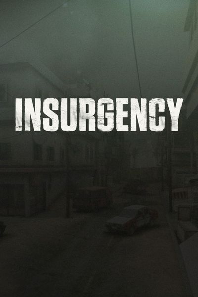 Insurgency